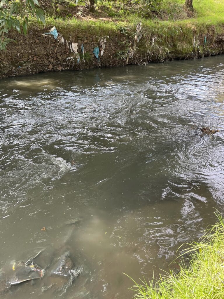 Río en la cuenca del Alto Atoyac